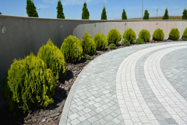 Best Custom Driveway Pavers  in Mountain View, CA